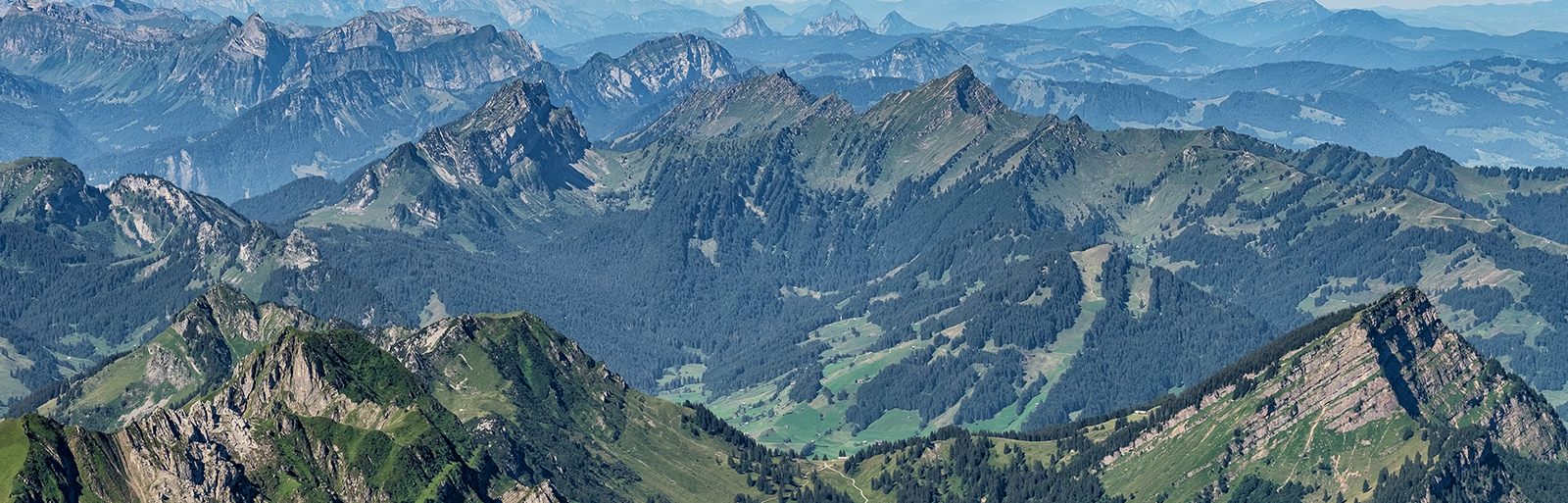 main banner