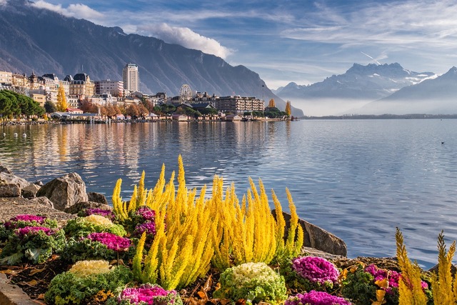 Discover the Ultimate Switzerland Private Tours with Typically Swiss Tours